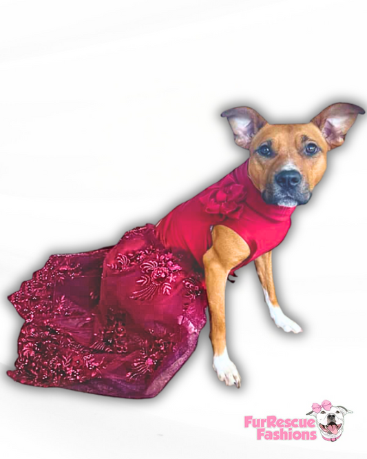 Nativity Princess Dog Gown WITH Attachable Train
