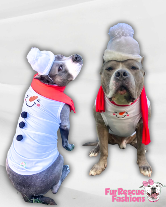 Frosty Smiles Dog Shirt