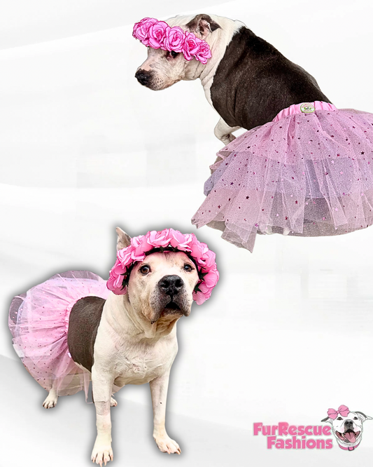 Sparkly Dog Tutu