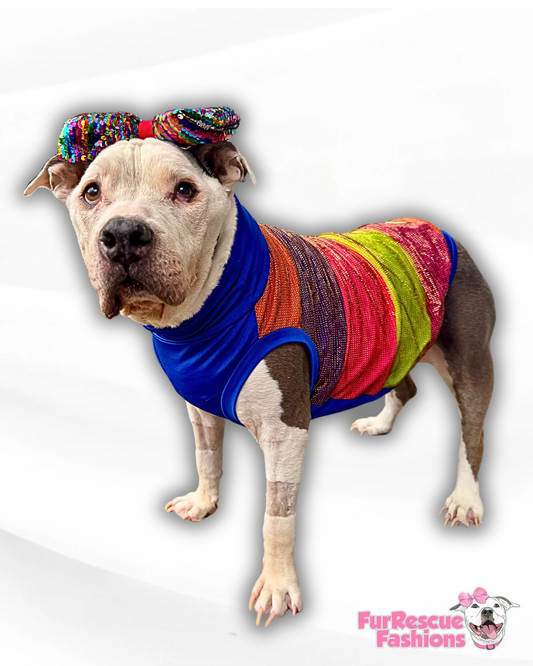 Sparkly Rainbow Royal Blue Dog Shirt