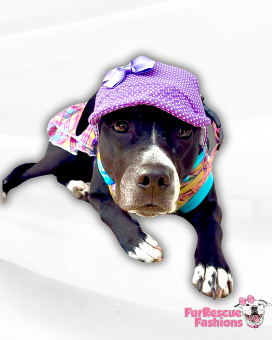 Purple Polka Dot Dog Hat With Bow