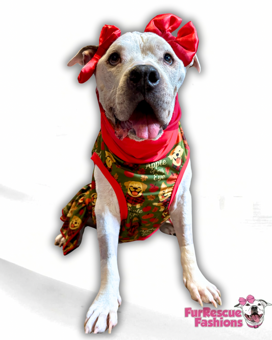 2025 Fall & Halloween Dog Dress With Ruffle / With Sleeves or Sleeveless (Available in any pattern)