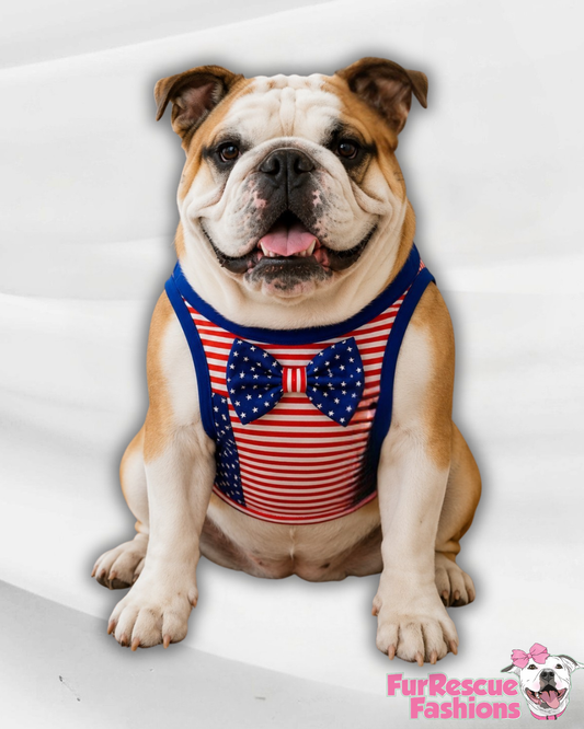 Stars, Stripes Dog Tee with Detachable Bow Tie