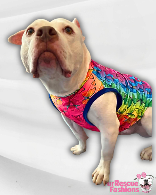 Rainbow Butterfly Dreams - Dog Pajama with Blue OR Fuchsia Neck & Trim/Sleeves