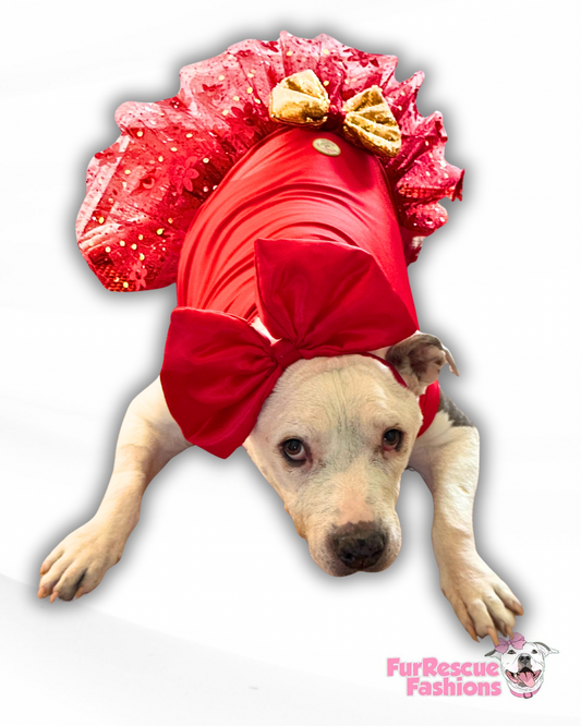 Holiday Magic Dog Dress