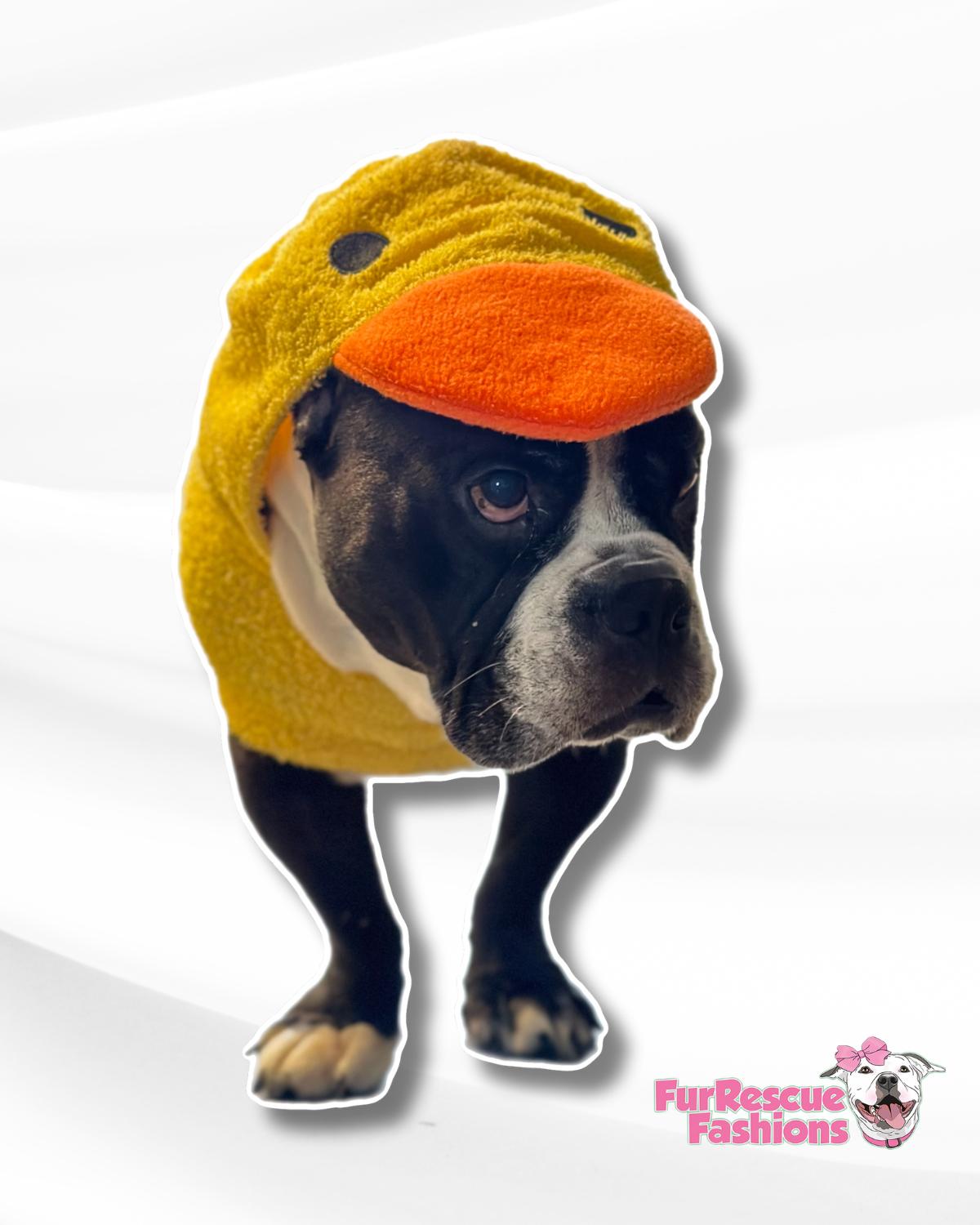 PAW-Robe Cow