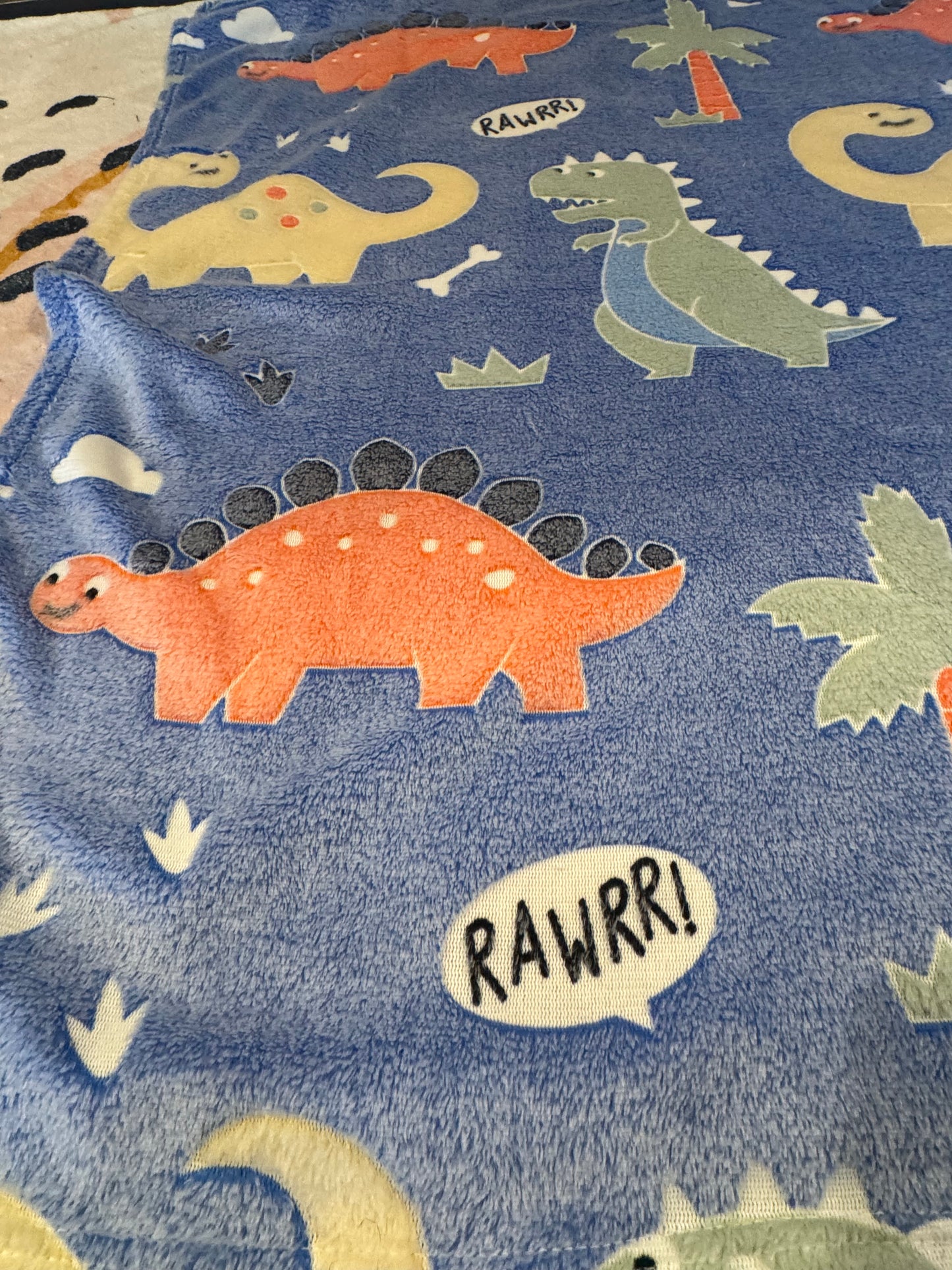 Glow In The Dark Dinosaur World Blanket