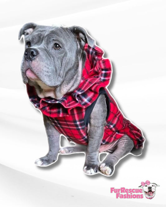 Plaid & Preppy Plaid Ruffle Dog Dress