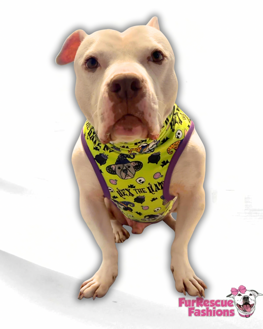 Hex the Haters - Dog Pajama with Purple Neck & Trim/Sleeves