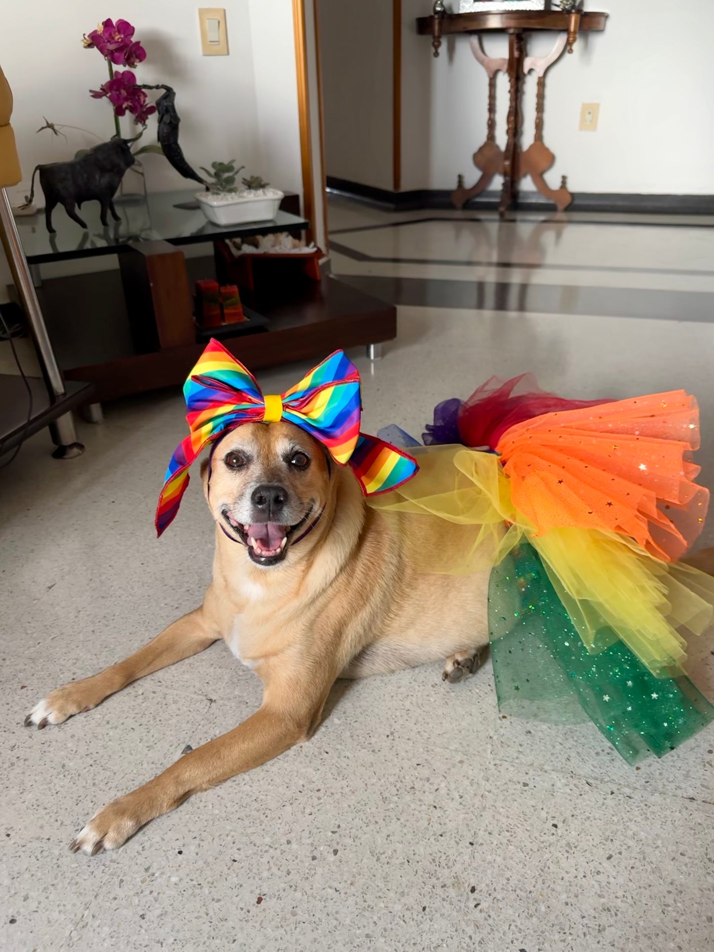 Sparkly Rainbow Dog Tutu