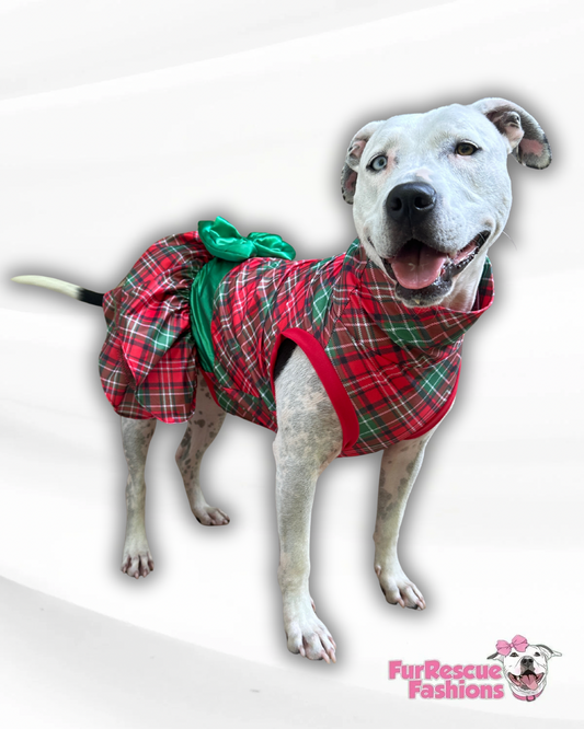 Merry Pup Plaid Dog Dress