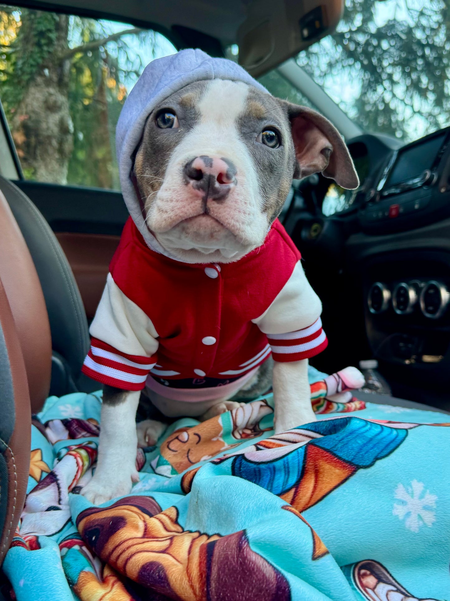 Paw Squad Varsity Hoodie – Dog Letterman Jacket with Hood (Available in Red, Pink & Blue)