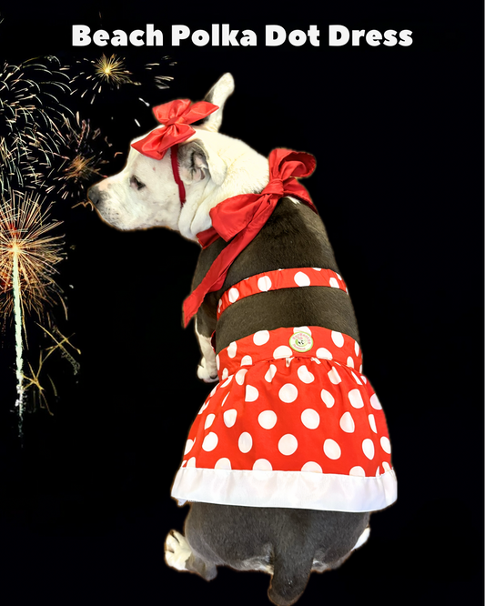 Beach Polka Dot Dog Dress