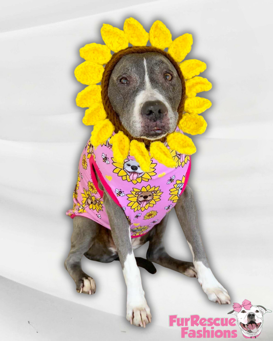 Sunflower Pitties Pink - Dog Pajama with Fuchsia Neck & Trim/Sleeves