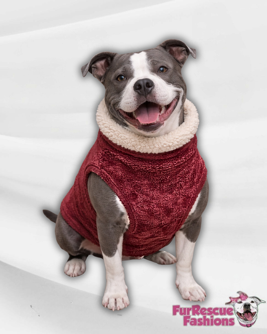 Burgundy Velvety Plush Dog Sweater with Sherpa Lining