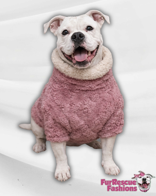 Rose Pink Velvety Plush Dog Sweater with Sherpa Lining