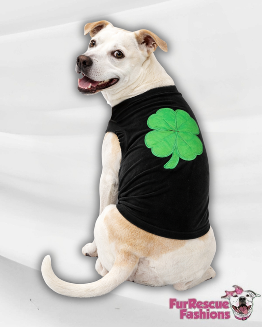 Lucky Charm Shamrock Dog Shirt