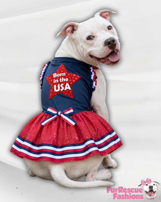 Born in the USA Glam Dress