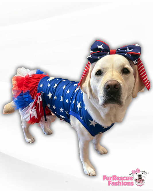 All American Dog Dress