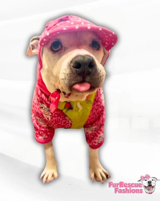 Fuchsia Polka Dot Dog Hat With Bow