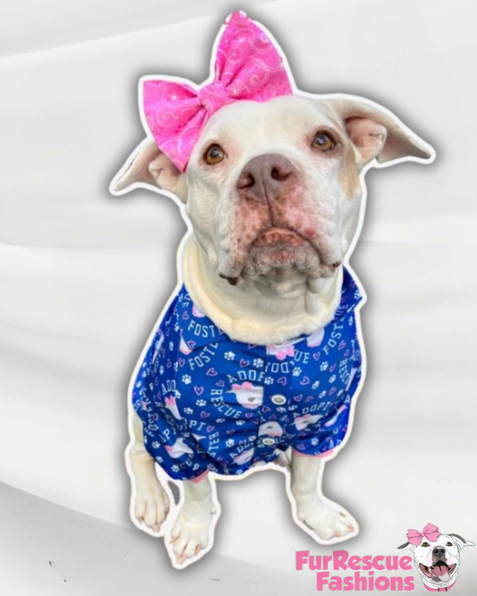 Rescue, Foster Adopt Blue - Dog Pajama with Pink or Grey Neck & Trim/Sleeves