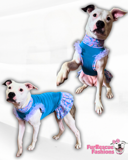 Rain & Rainbow Boho Skies Ruffle Dress With Tulle Accents on the Arms