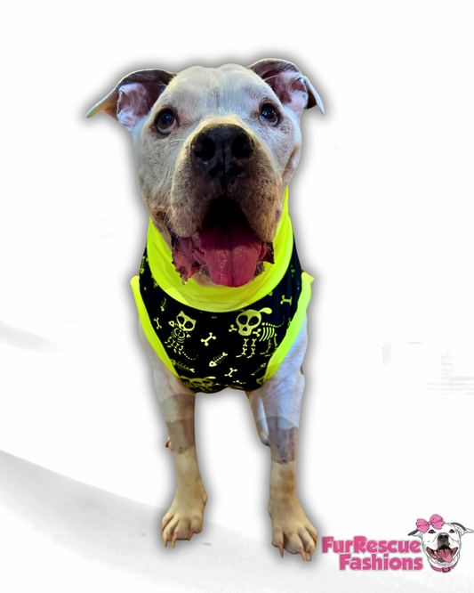 Skeleton Crew - Dog Pajama with Neon Neck & Trim/Sleeves