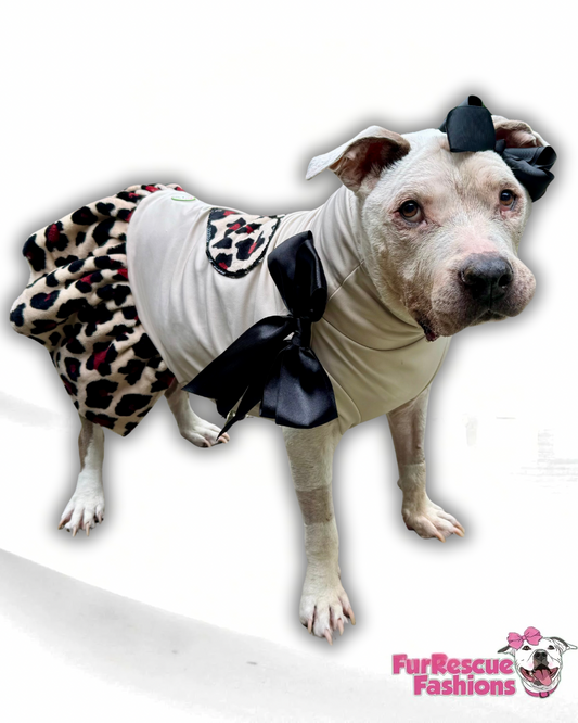Safari Chic Dog Dress