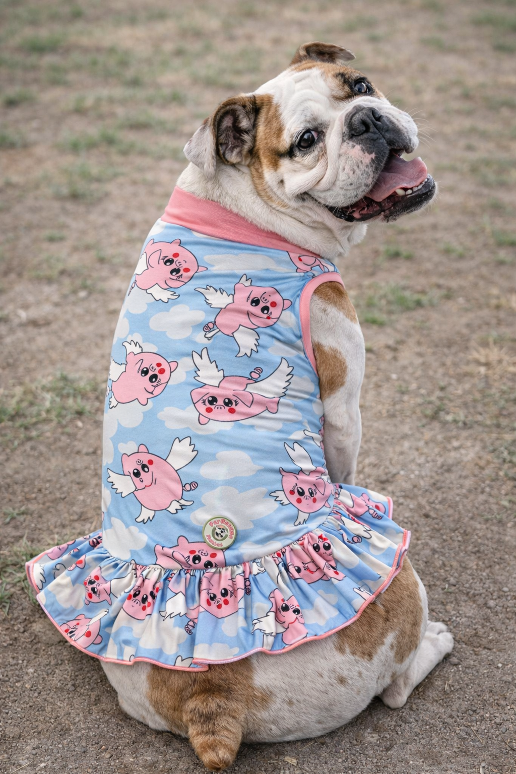When Pigs Fly Dog Dress With Ruffle / With Sleeves or Sleeveless