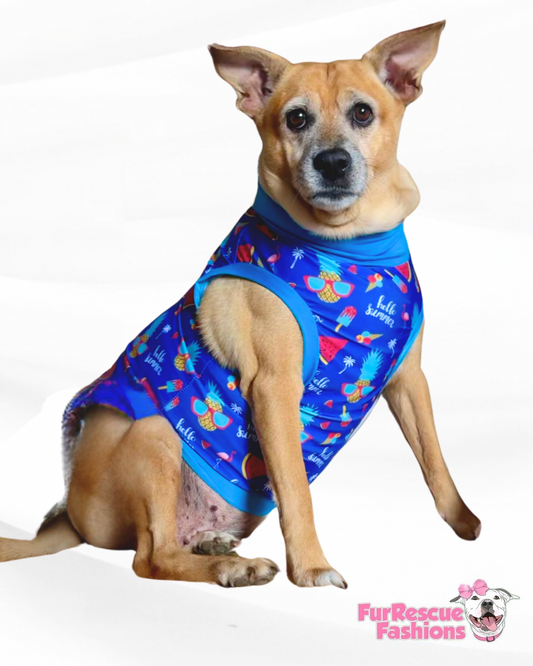 Hello Summer Dog Pajama with Turquoise Trim