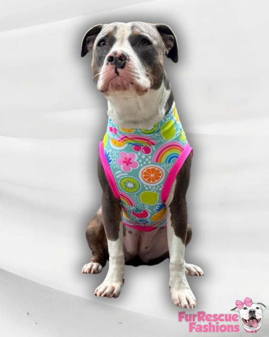 Summer Fruits & Rainbows - Dog Pajama with Pink OR Yellow Neck & Trim/Sleeves