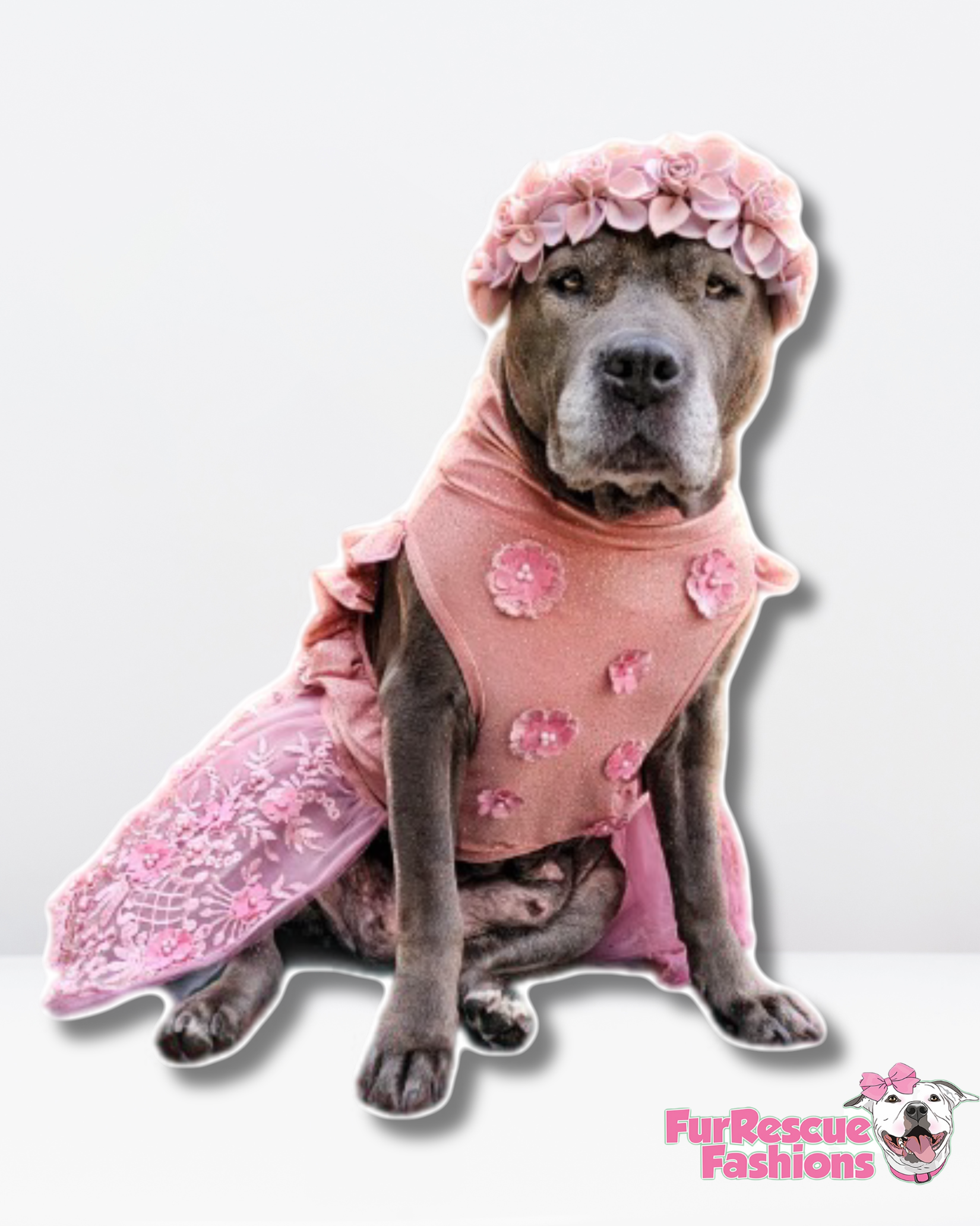Fancy Tutu Dress | FurRescue Fashions Fancy Tutu Dress | FurRescue Fashions