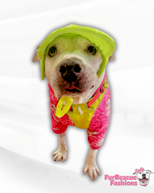 Shiny Neon Waterproof Dog Hat