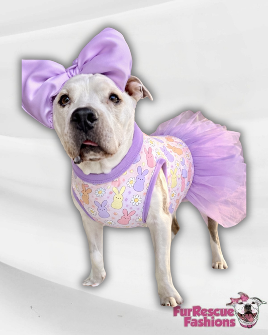 St. Pawtricks & Easter Dog Tutu Dress (Available in any pattern from this preorder)