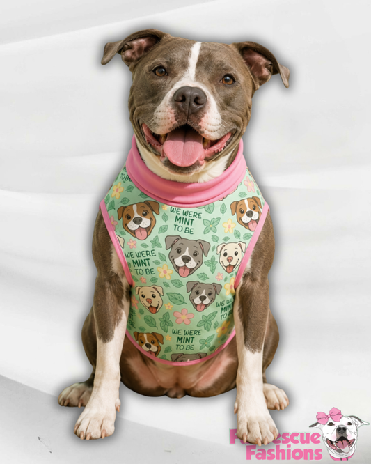 Mint To Be Besties Dog Pajama With Light Pink Trim