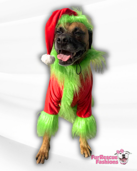 Howl the Grinch Stole Christmas Costume