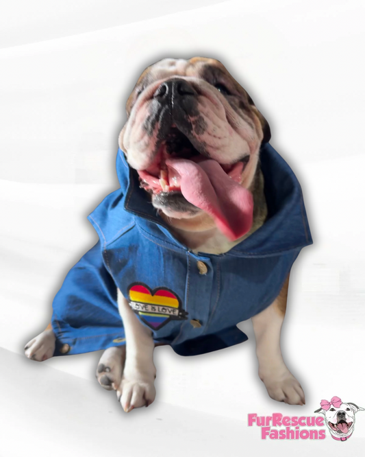 Love Is Love Denim Dog Vest