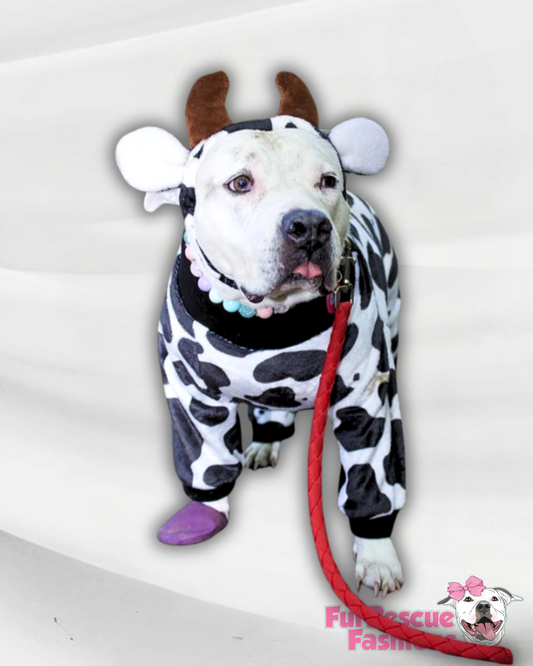 Luxury Fleece Cow Dog Outfit with Headband