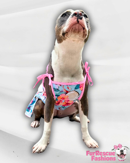 2026 Summer Strapped Dog Dress With Ruffle