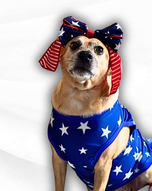 Americano Patriotic Bow with Tails Doggie Headband