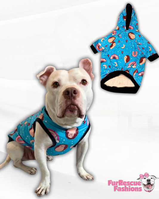 Hedgehog Love & Rainbows Dog Shirt