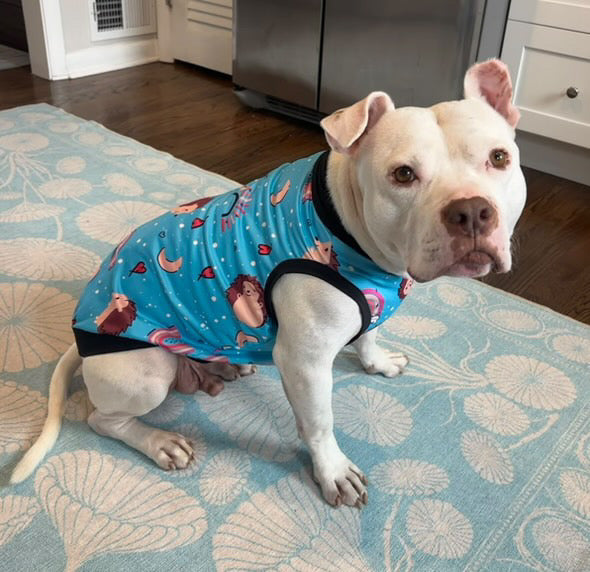 Hedgehog Love & Rainbows Dog Shirt