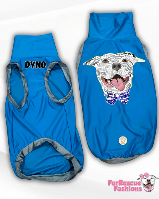 Pittie Perfection: A Love List (Boy) - End BSL Dog Dress & Shirts