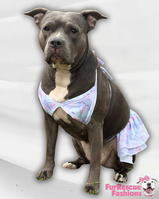 Dog Bikini (AVAILABLE IN ANY PRE-ORDER PATTERN