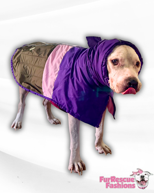 Easy-On Waterproof Dog Cape with Snood – Purple, Pink & Olive Colorblock
