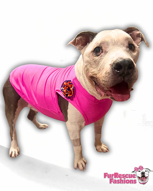 Blossom Babe Dog Shirt