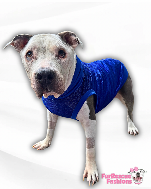 Sparkling Royal Blue Dog Shirt