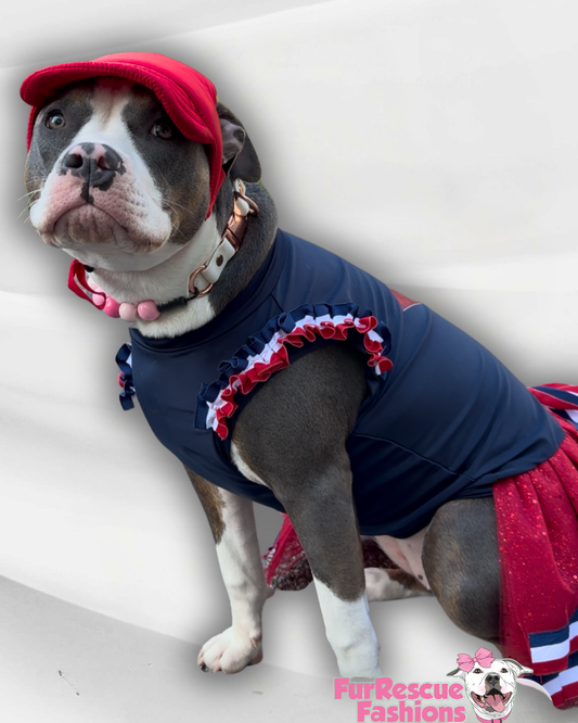 Red Waterproof Dog Hat