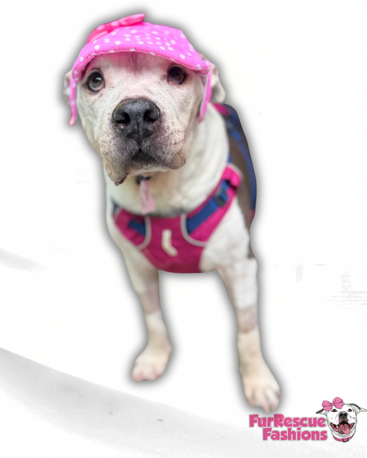 Pink Polka Dot Dog Hat With Bow