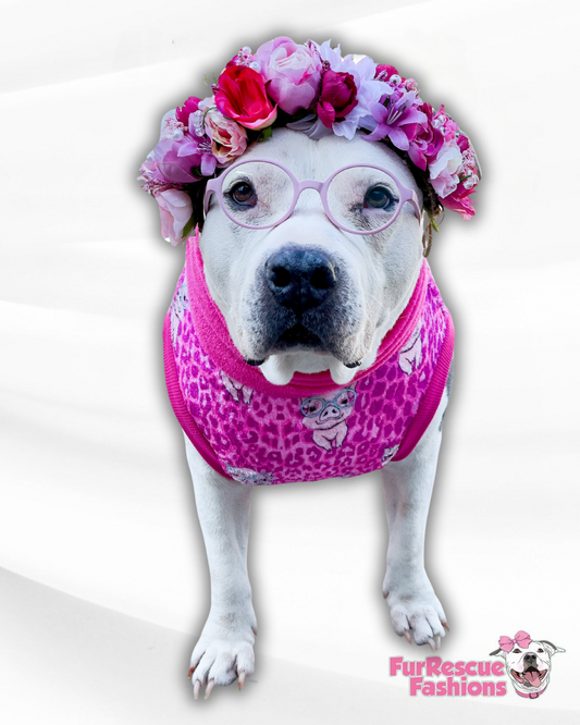 Piggie Animal Print - Dog Pajama with Pink Neck & Trim/Sleeves